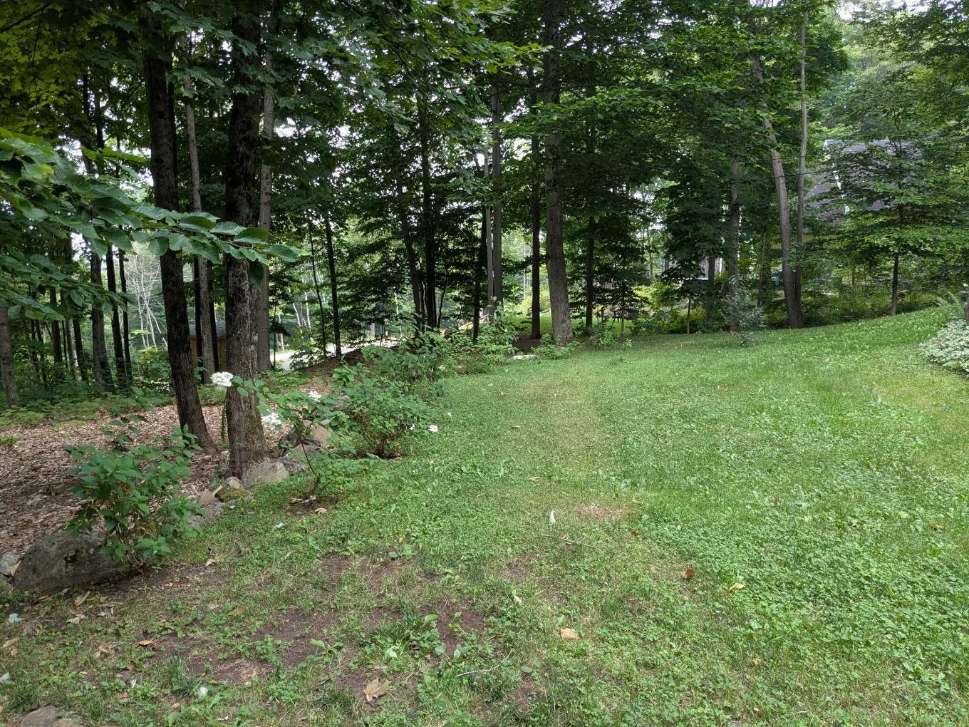 Cour - 1515 Rue Ferland, Prévost, QC - Outdoor