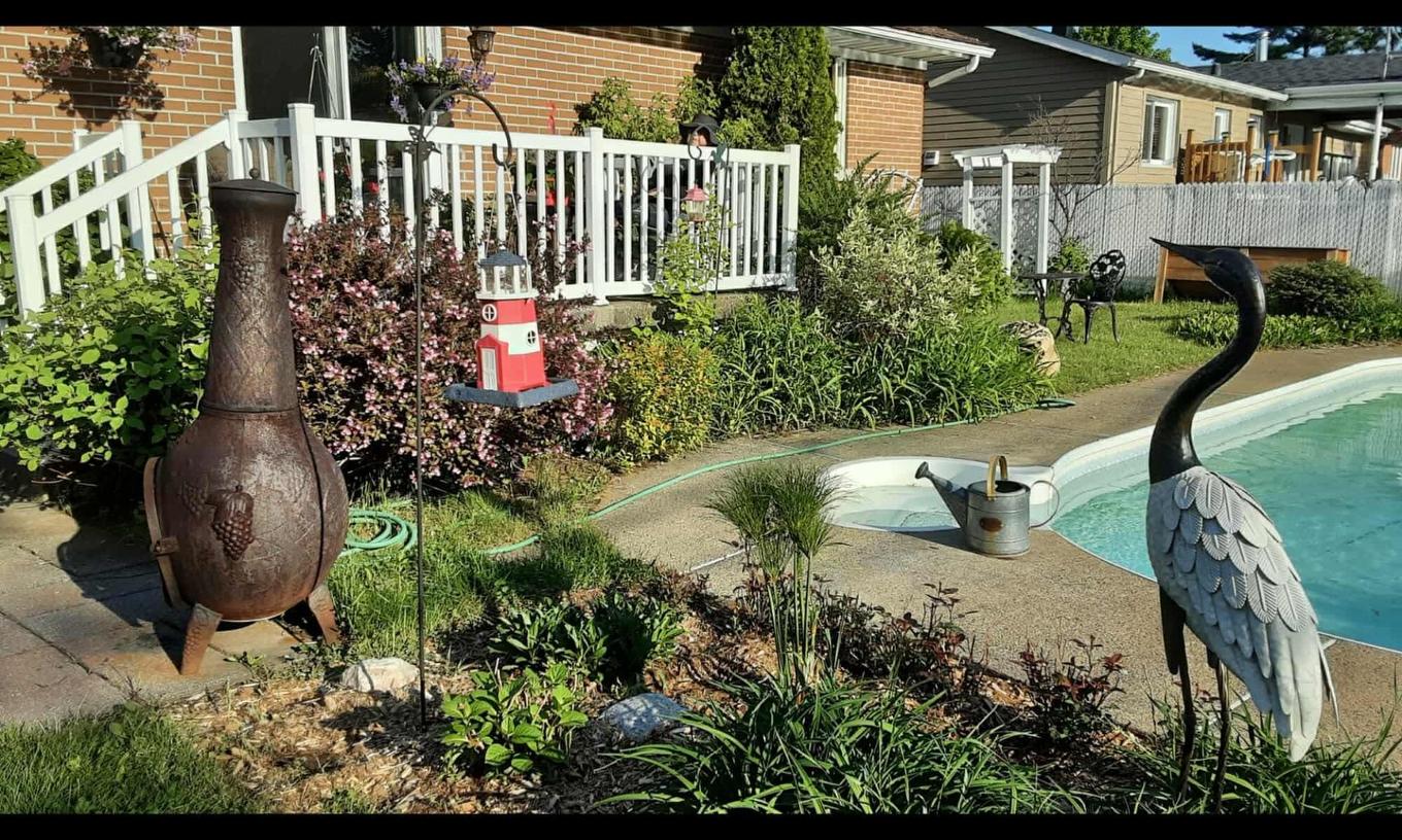 Cour - 658 Rue Barkoff, Trois-Rivières, QC - Outdoor