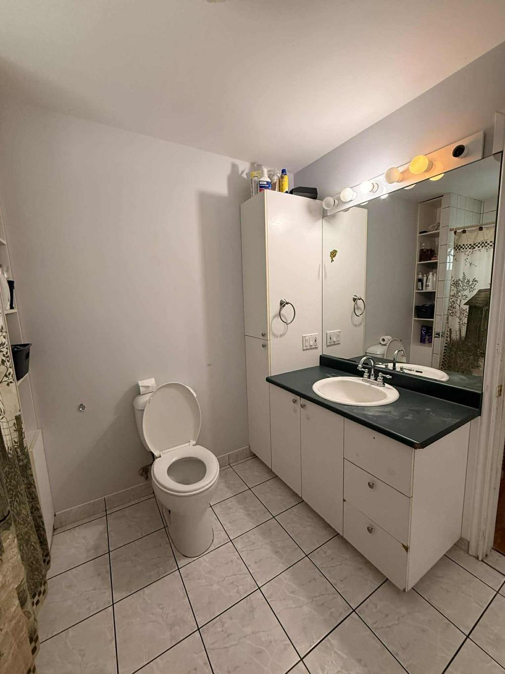 Bathroom - 142 Rue Du Collège, Labelle, QC - Indoor Photo Showing Bathroom