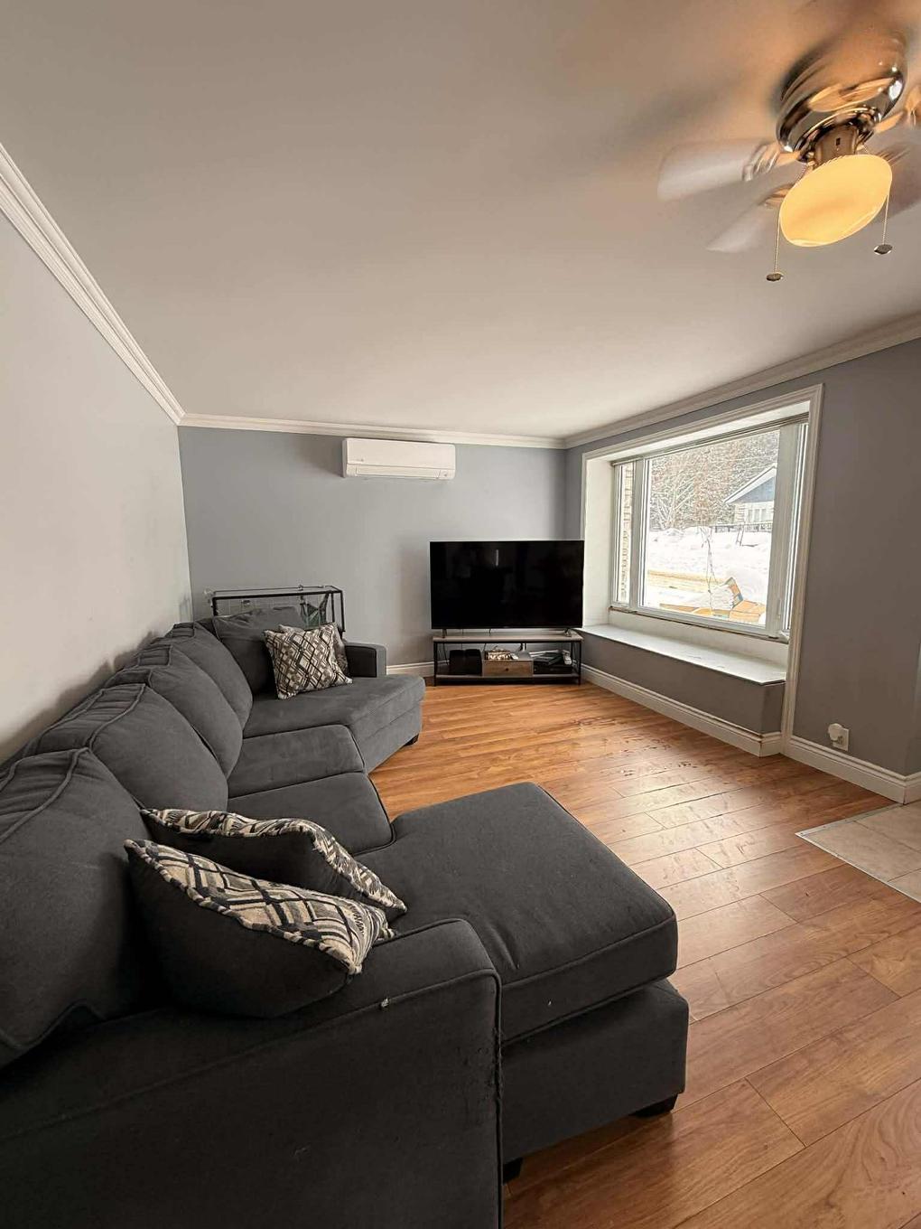 Living room - 142 Rue Du Collège, Labelle, QC - Indoor Photo Showing Living Room