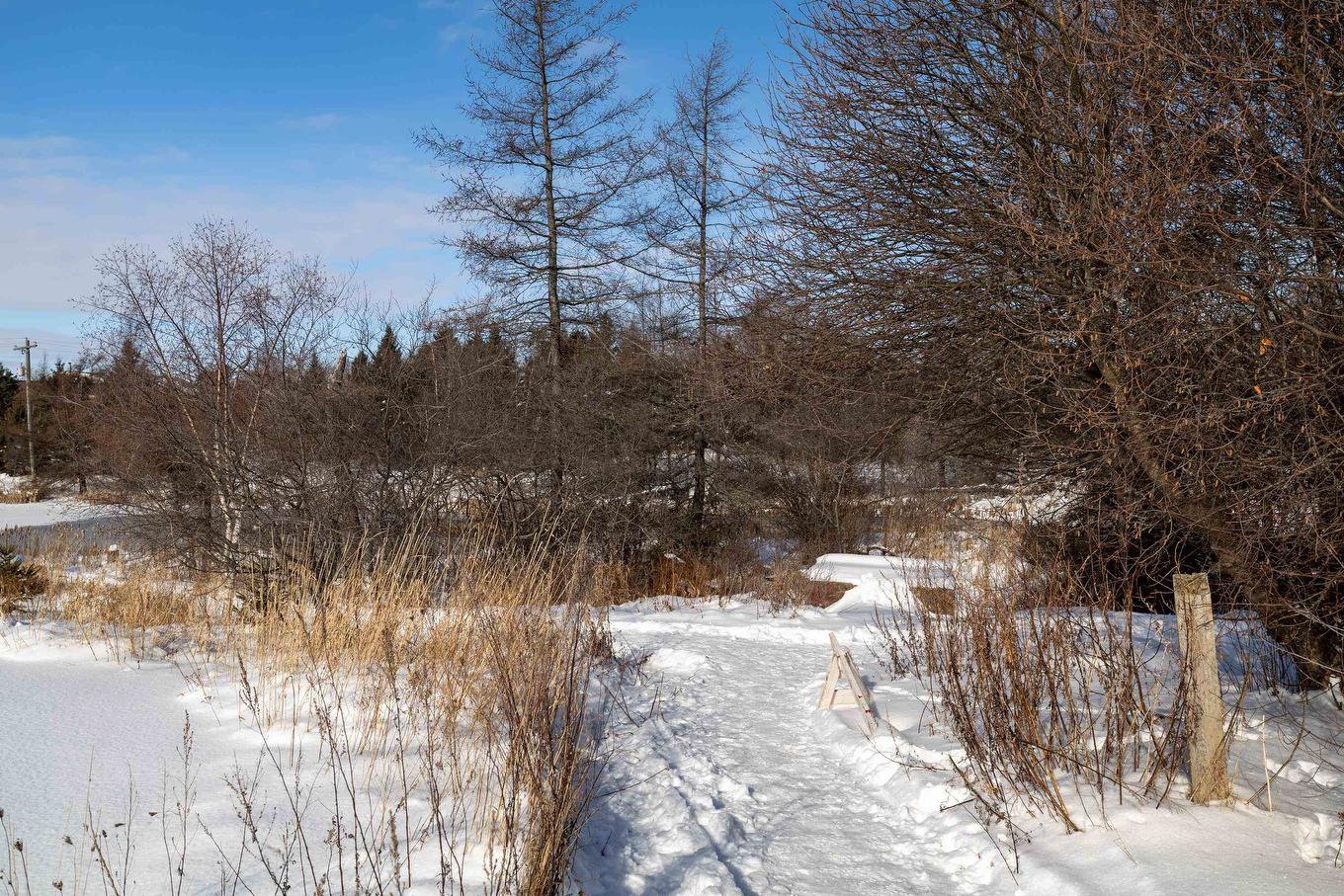 26 Doc Blanchard Crescent, Charlottetown, PE