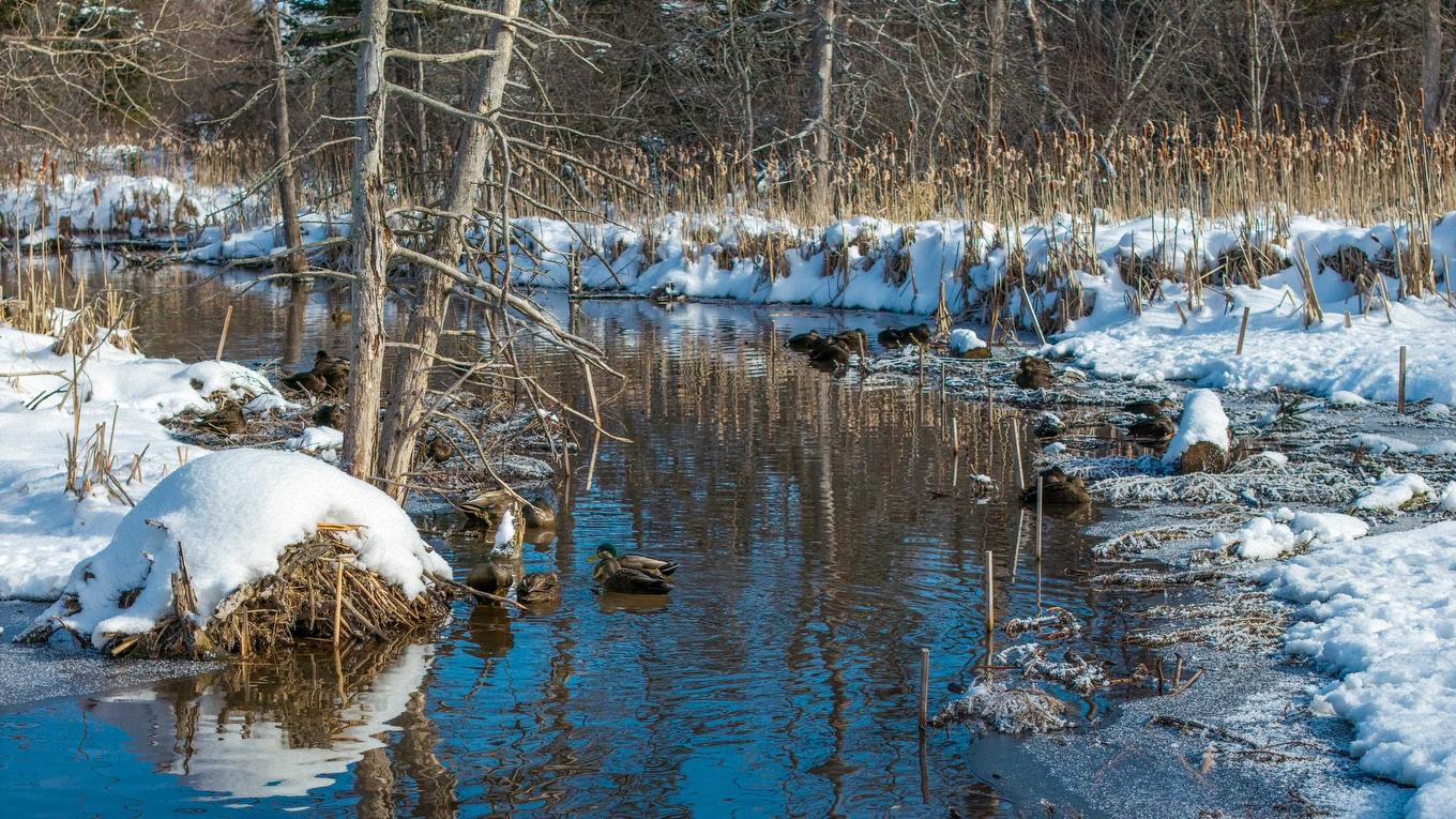 26 Doc Blanchard Crescent, Charlottetown, PE