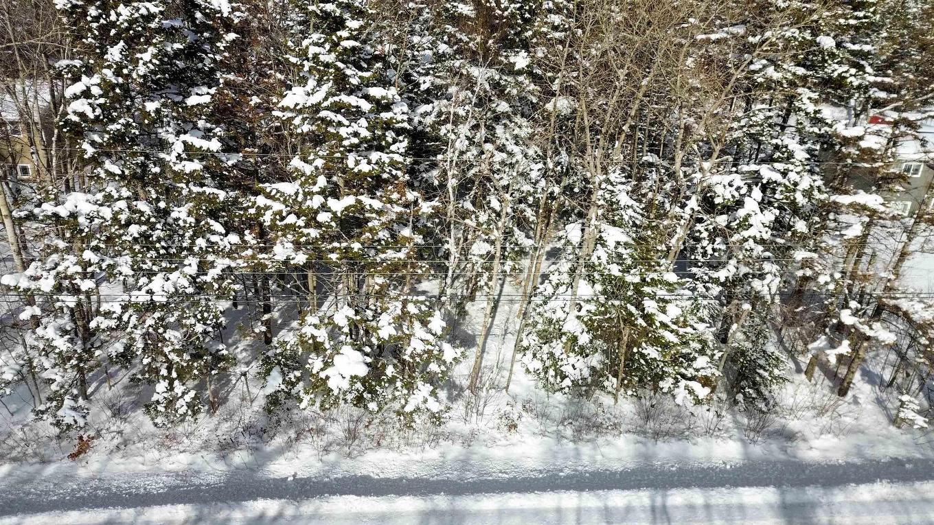 Lots Lansdowne Road, Bear River, NS