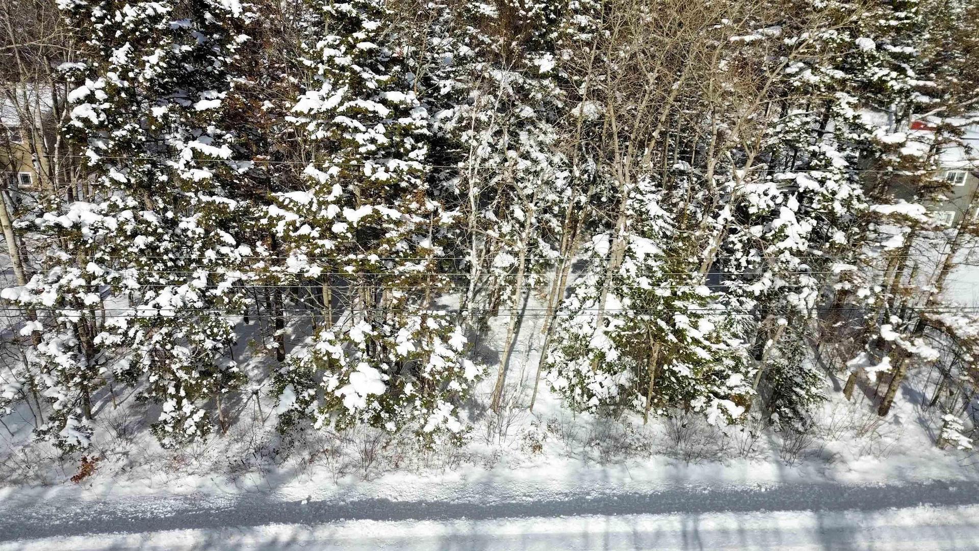 Lots Lansdowne Road, Bear River, NS