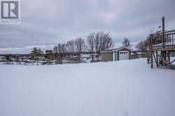 Spacious Back Yard -