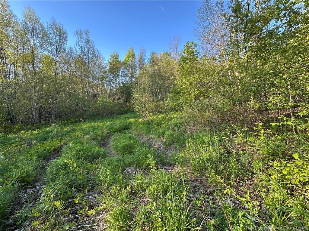 - Highfield Rd, Pearsonville, NB