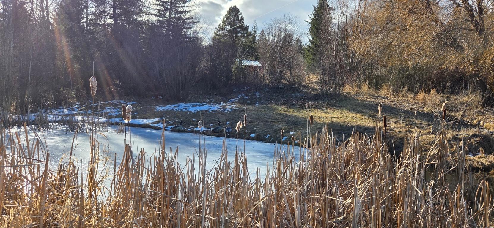 4067 Torrent Road, Skookumchuck, BC