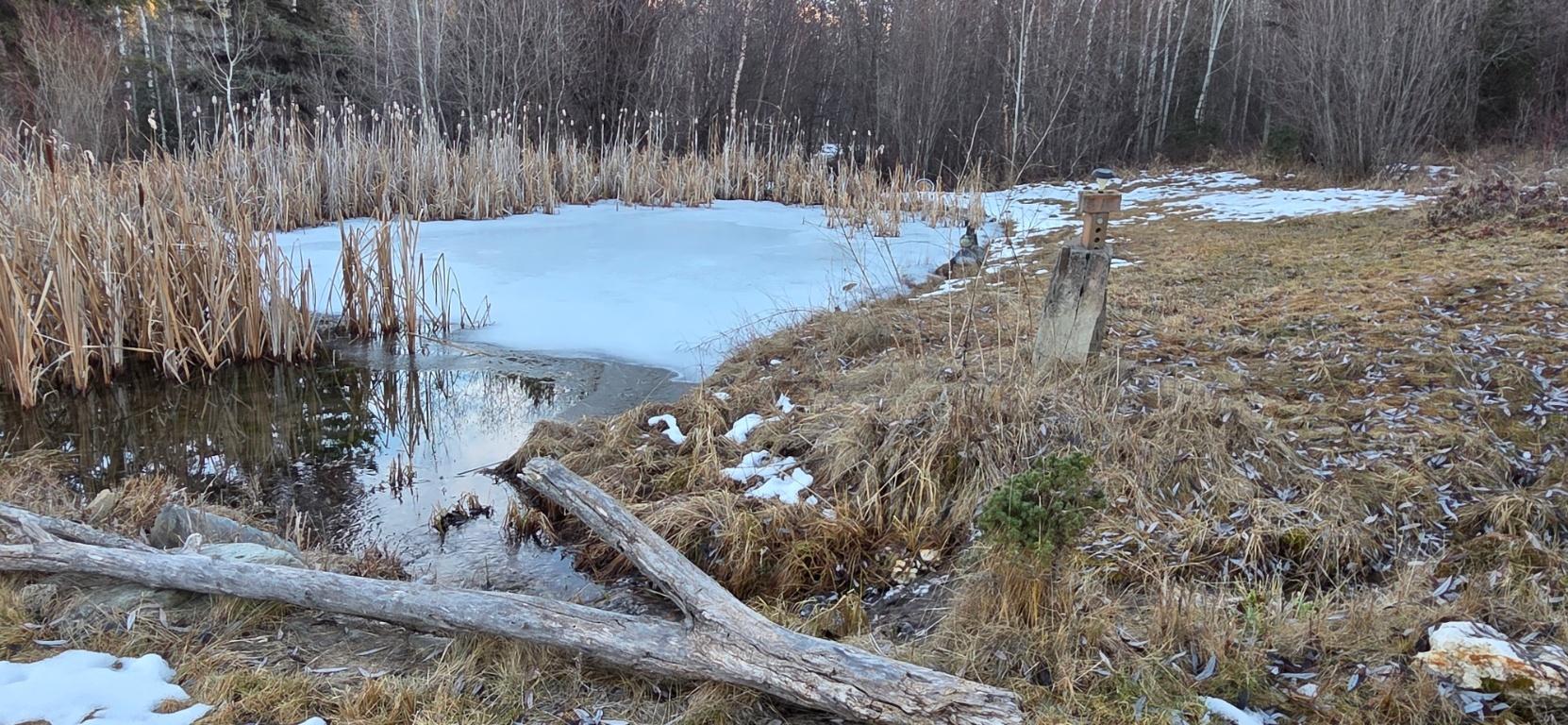 4067 Torrent Road, Skookumchuck, BC