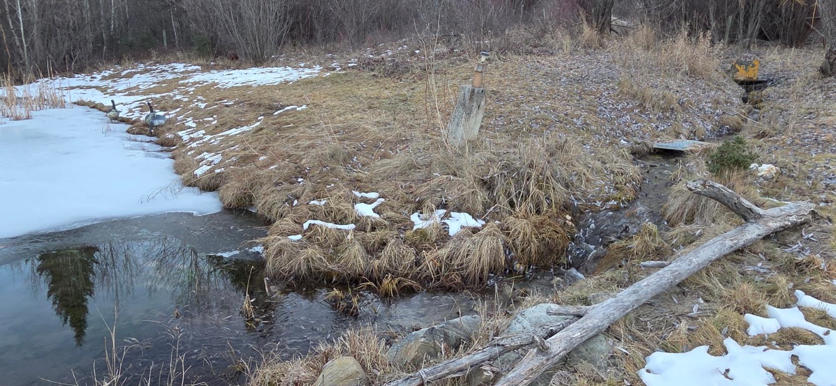 4067 Torrent Road, Skookumchuck, BC