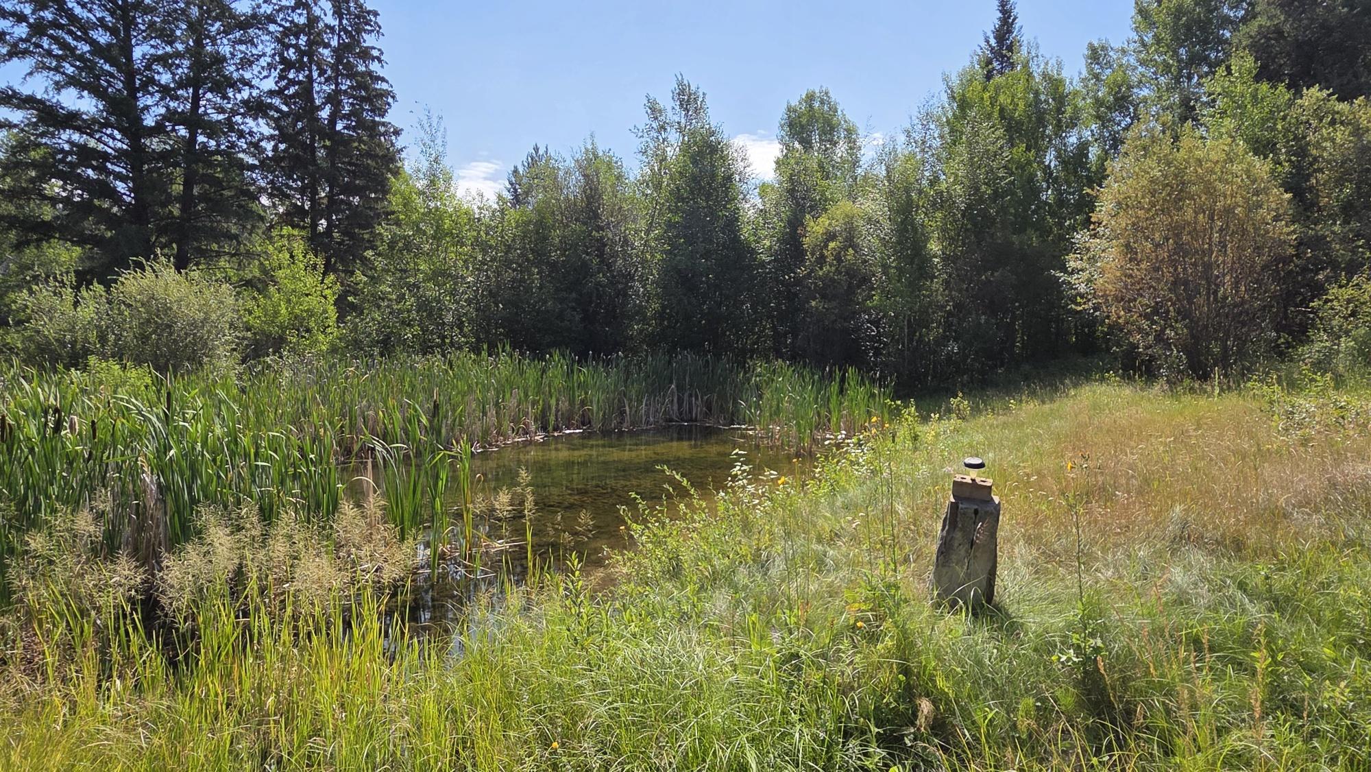 4067 Torrent Road, Skookumchuck, BC