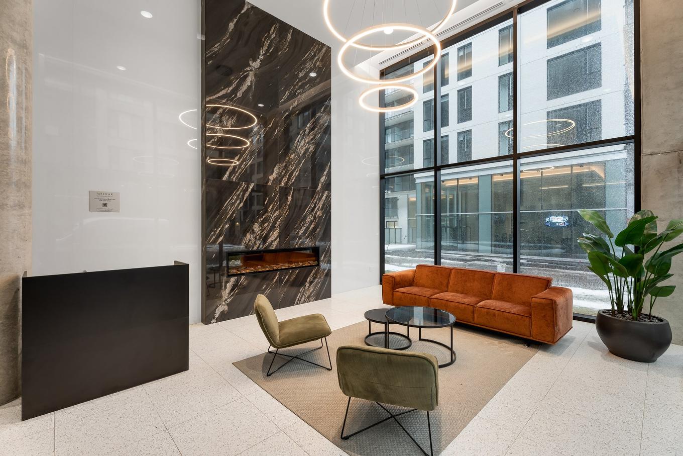 Vue d'ensemble - 801-1485 Rue Des Bassins, Montréal (Le Sud-Ouest), QC - Indoor With Fireplace