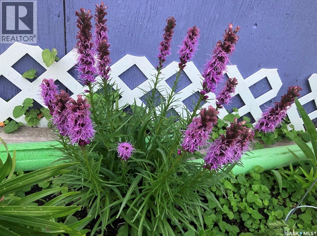 916 4Th Avenue N, Saskatoon, SK - Outdoor