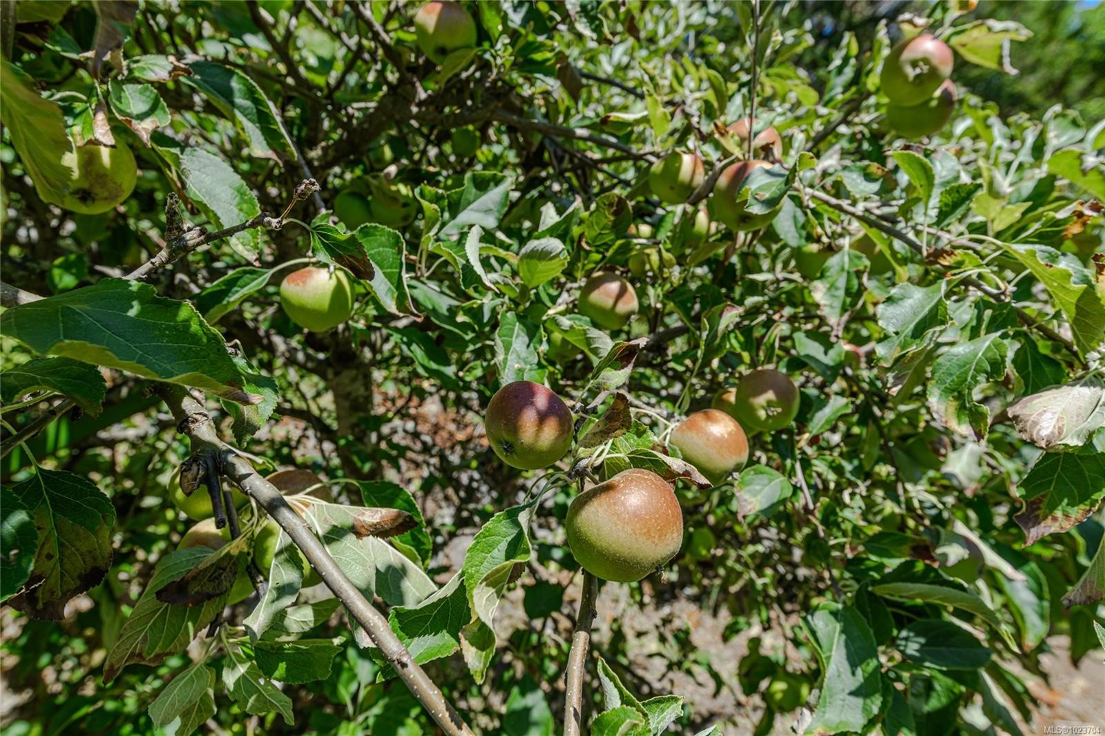1252 Isabella Point Rd, Salt Spring, BC