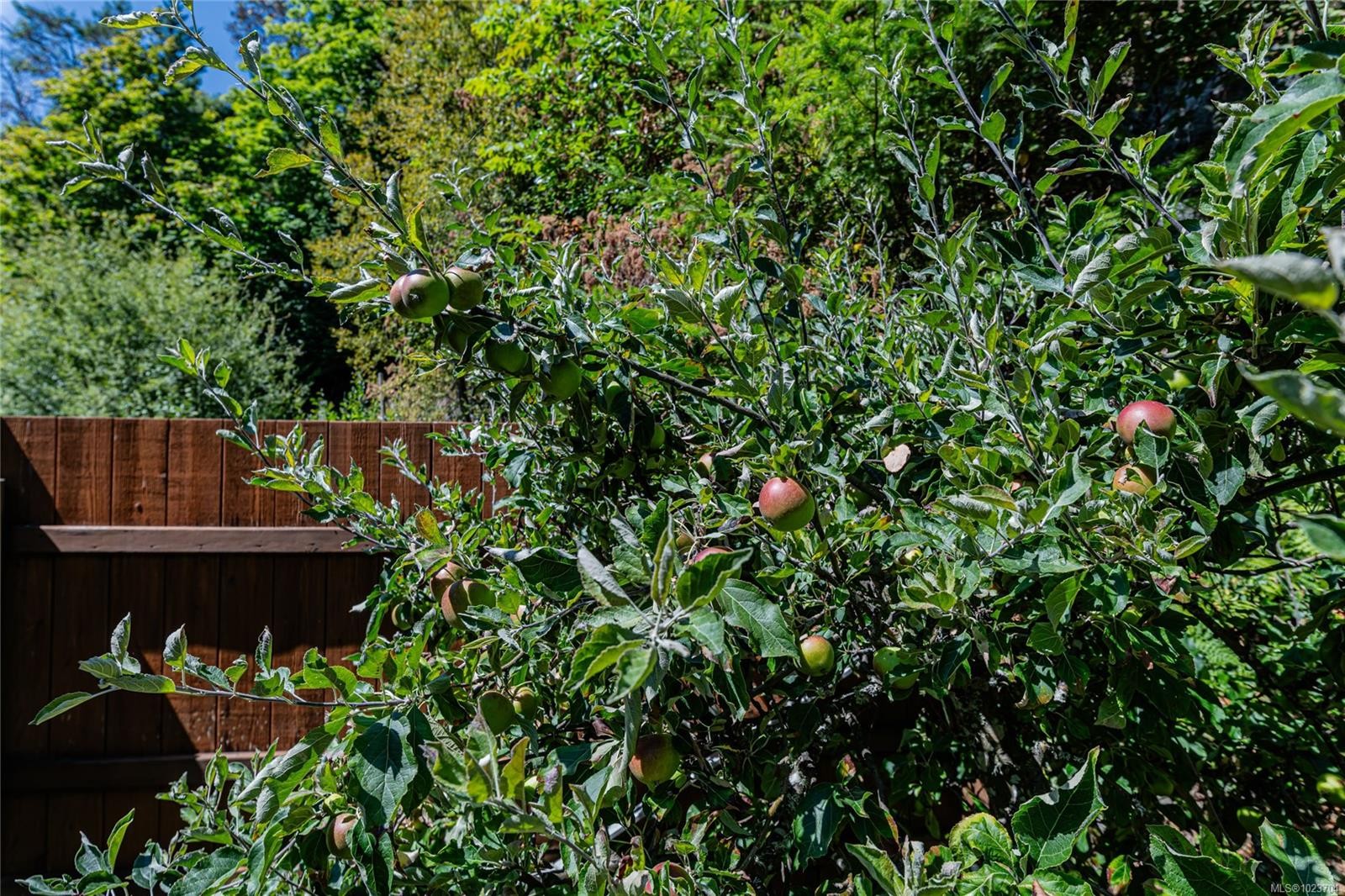 1252 Isabella Point Rd, Salt Spring, BC