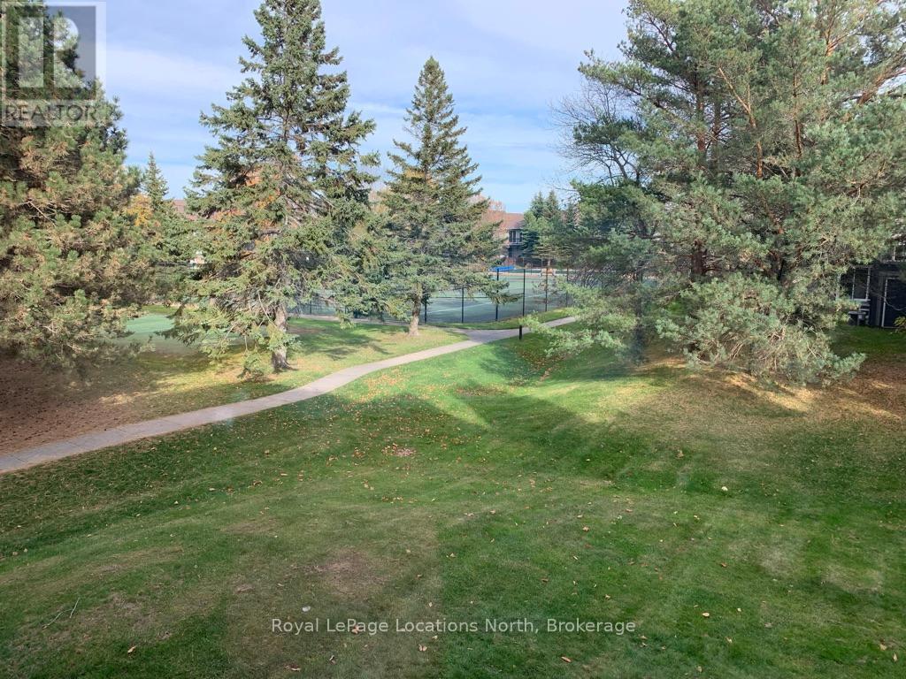 Tennis courts - 378 Mariners Way, Collingwood, ON - Outdoor With View