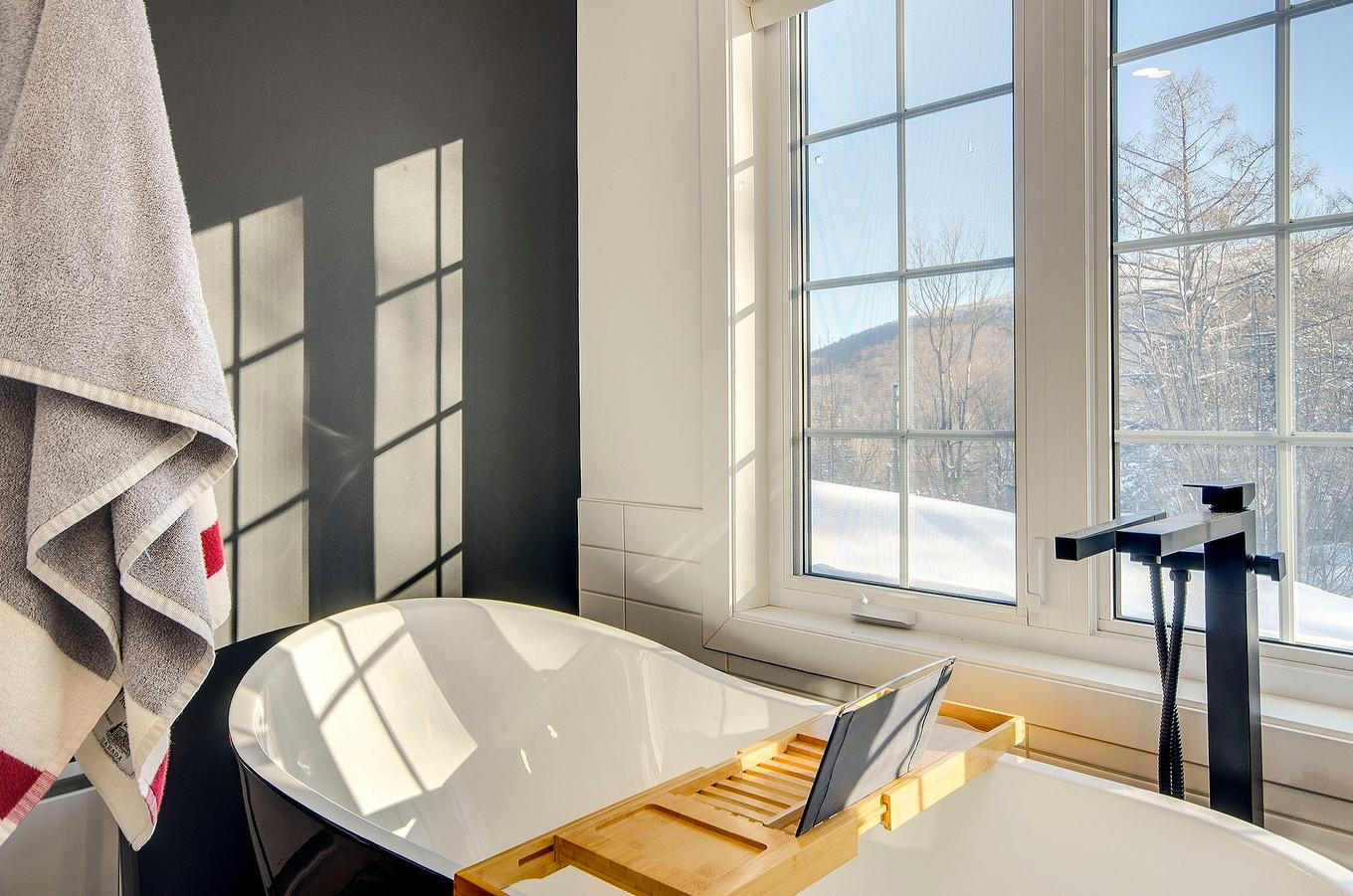 Ensuite bathroom - 138 Ch. Duhamel, Sutton, QC - Indoor Photo Showing Other Room