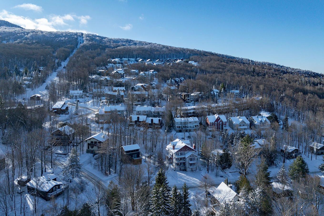Aerial photo - 138 Ch. Duhamel, Sutton, QC - Outdoor With View