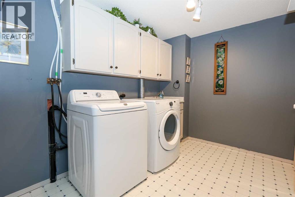31 Armitage Close, Red Deer, AB - Indoor Photo Showing Laundry Room