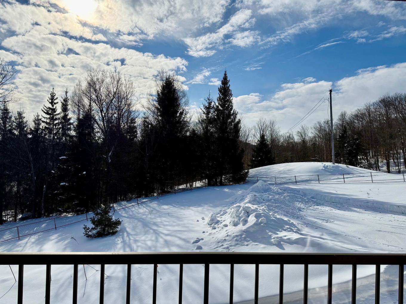 Cour - 10-280 Rue De Grenoble, Sainte-Adèle, QC - Outdoor With View