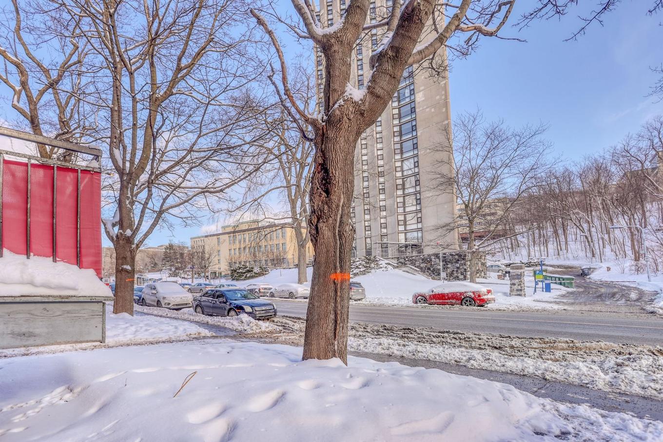 View - 3-2455 Boul. Édouard-Montpetit, Montréal (Côte-Des-Neiges/Notre-Dame-De-Grâce), QC - Outdoor