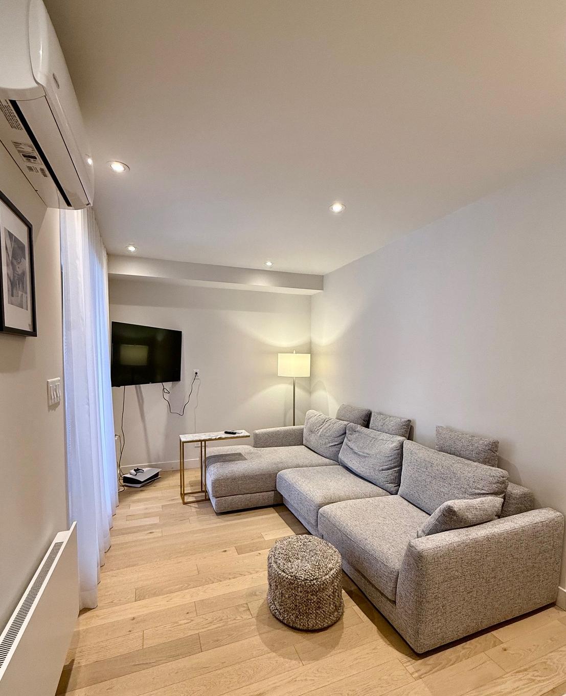 Living room - 4048 Rue Cartier, Montréal (Le Plateau-Mont-Royal), QC - Indoor Photo Showing Living Room