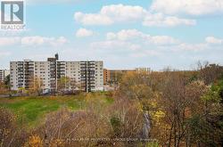 East tree top view from balcony -