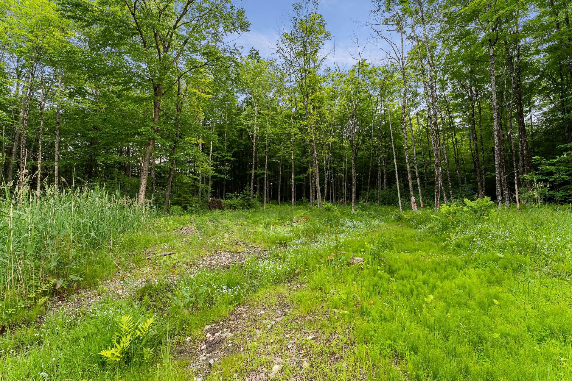 Lot - Rue Gaspard, Magog, QC