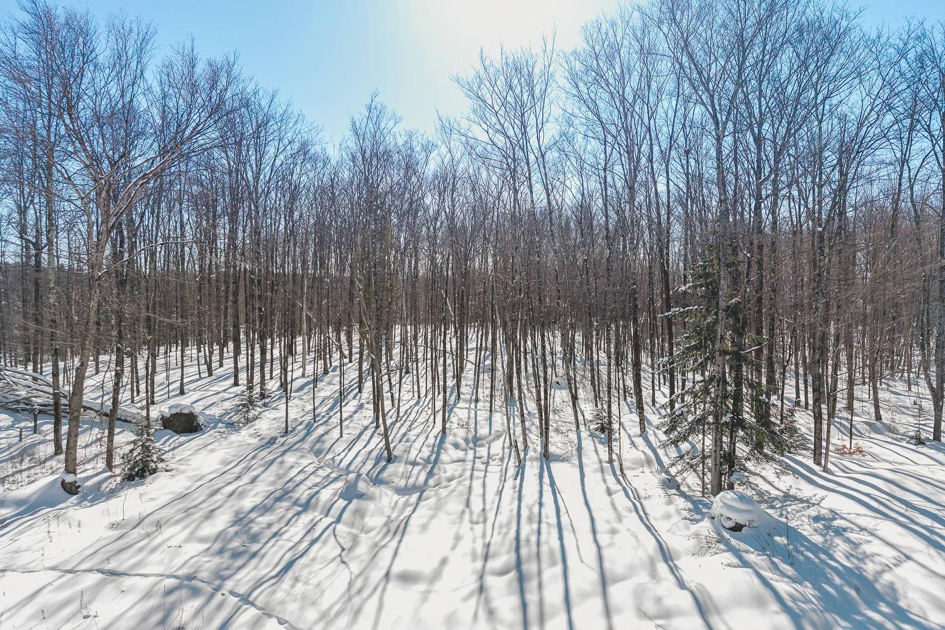 Photo aérienne - Rue Gaspard, Magog, QC