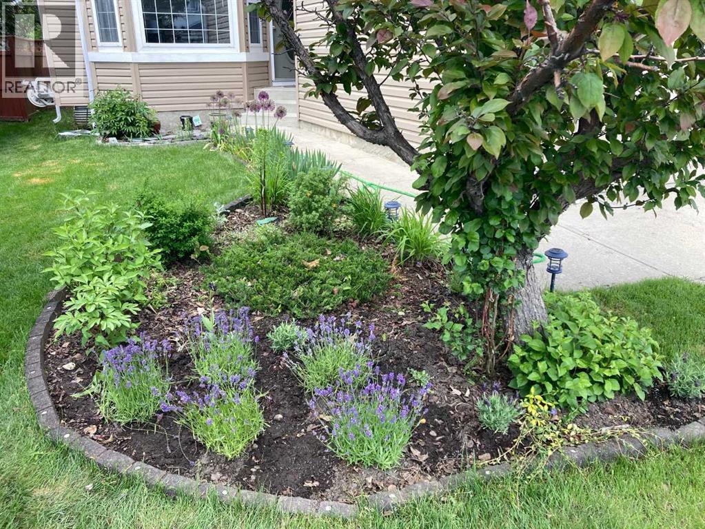 Front Lawn Gardening in Summer - 188 Hidden Ranch Crescent Nw, Calgary, AB - Outdoor