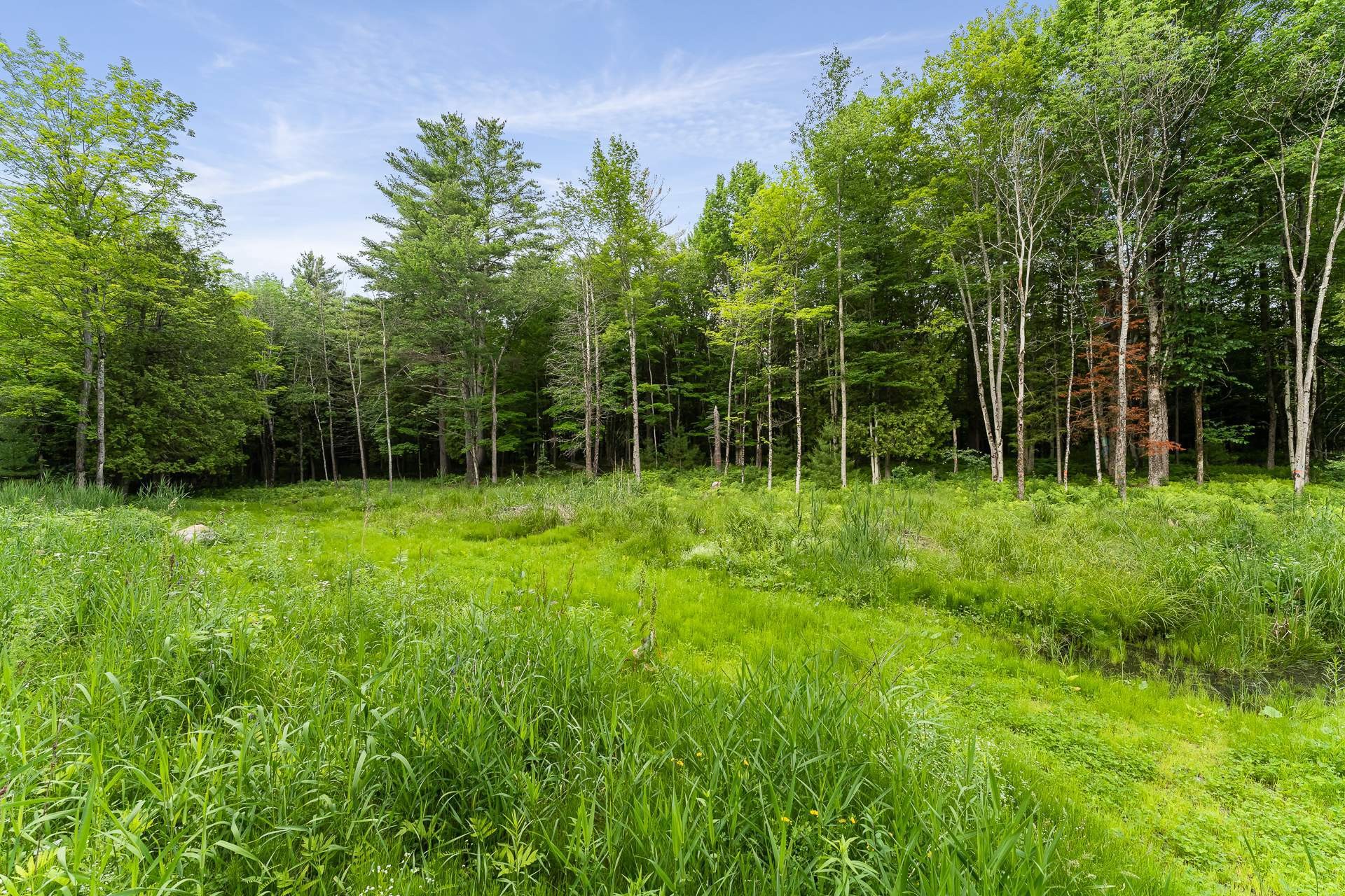Terre/Terrain - Rue Gaspard, Magog, QC