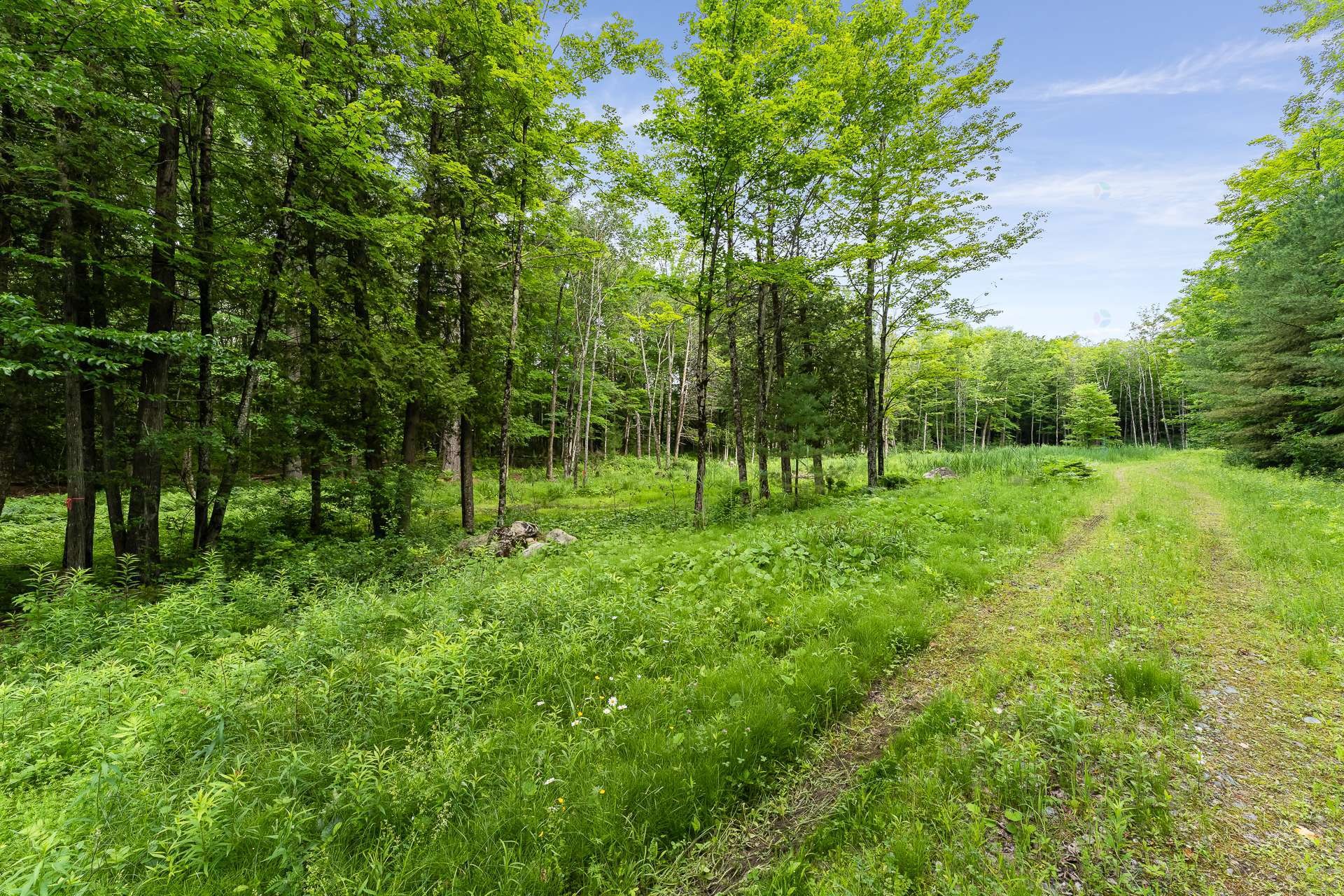 Terre/Terrain - Rue Gaspard, Magog, QC