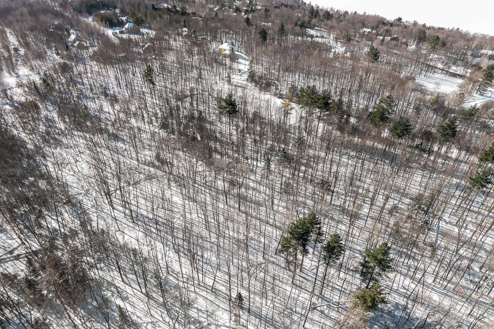 Photo aérienne - Rue Gaspard, Magog, QC
