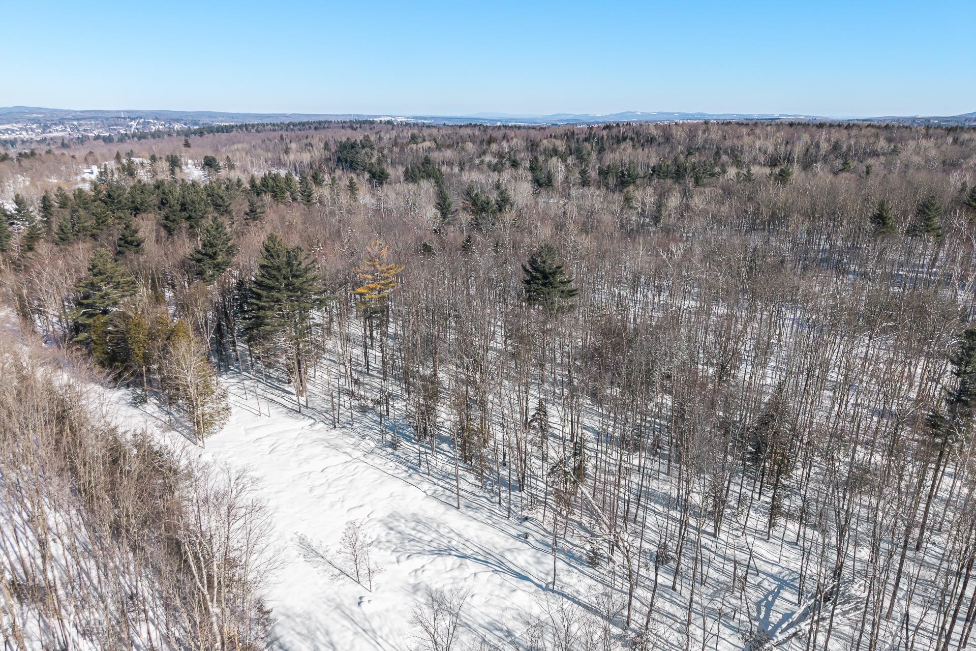 Photo aérienne - Rue Gaspard, Magog, QC