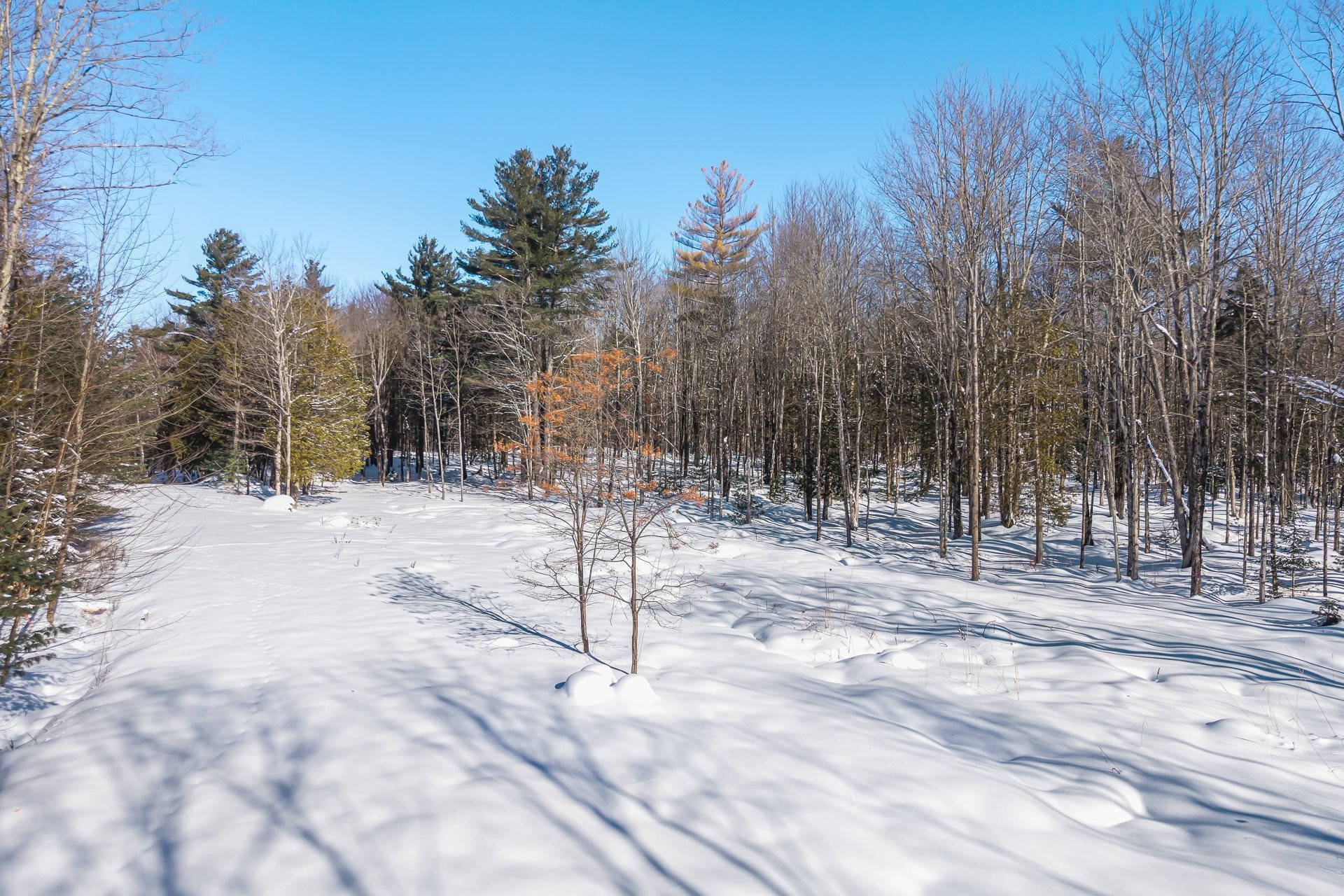Terre/Terrain - Rue Gaspard, Magog, QC