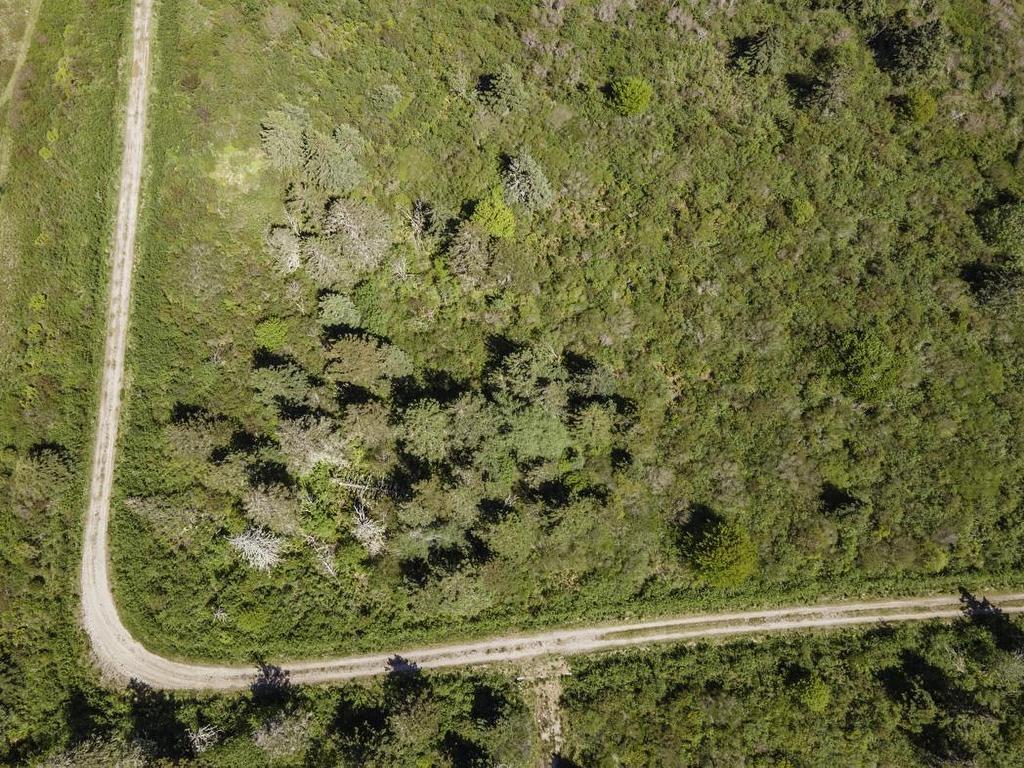 Lot 4 Talala Drive, Beaver River, NS