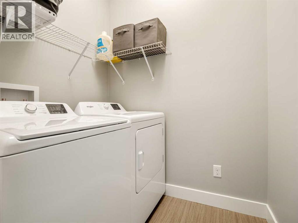 166 Crocus Terrace W, Lethbridge, AB - Indoor Photo Showing Laundry Room