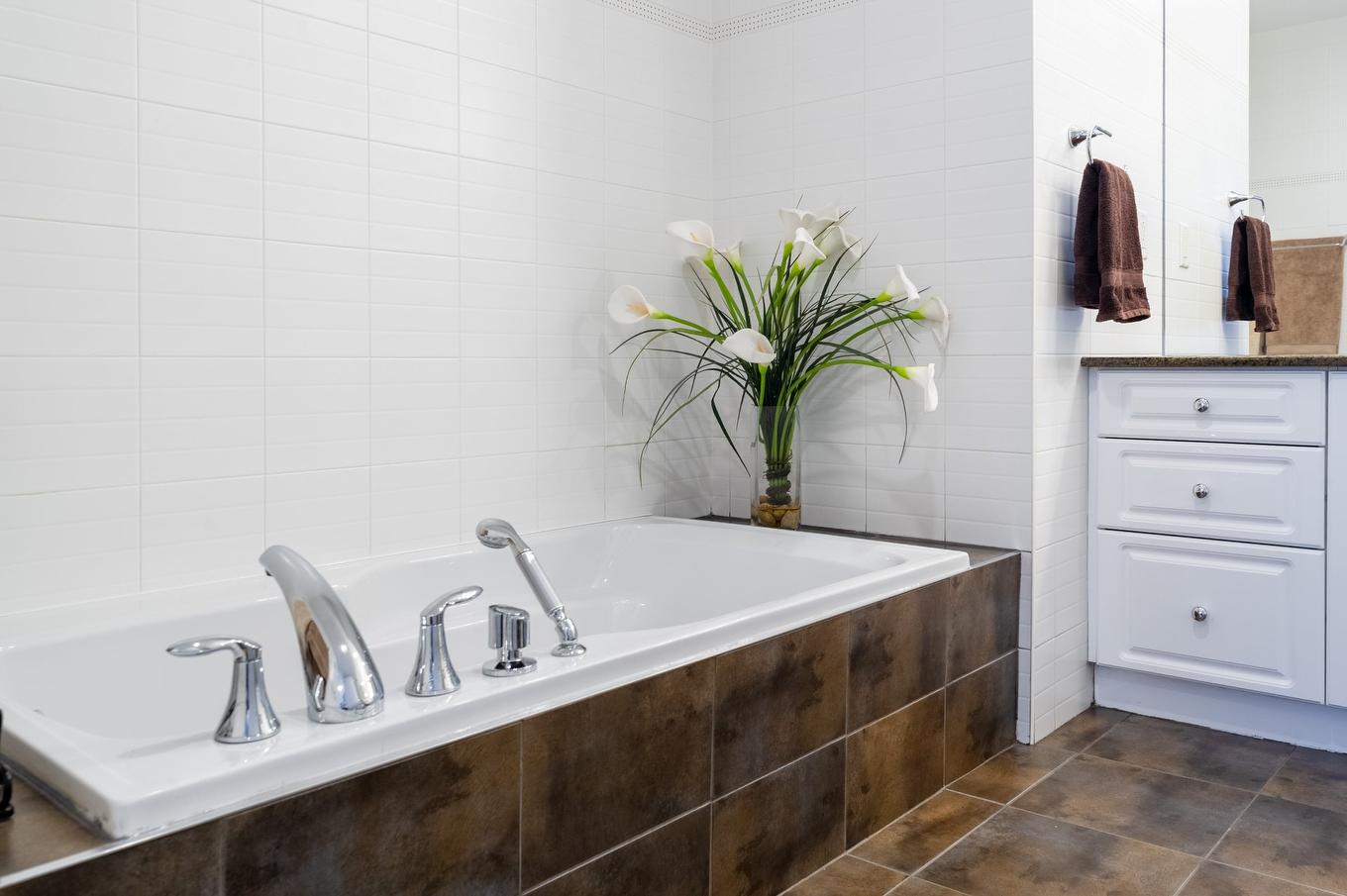 Ensuite bathroom - 74-38 Rue Mcgill, Montréal (Ville-Marie), QC - Indoor Photo Showing Bathroom