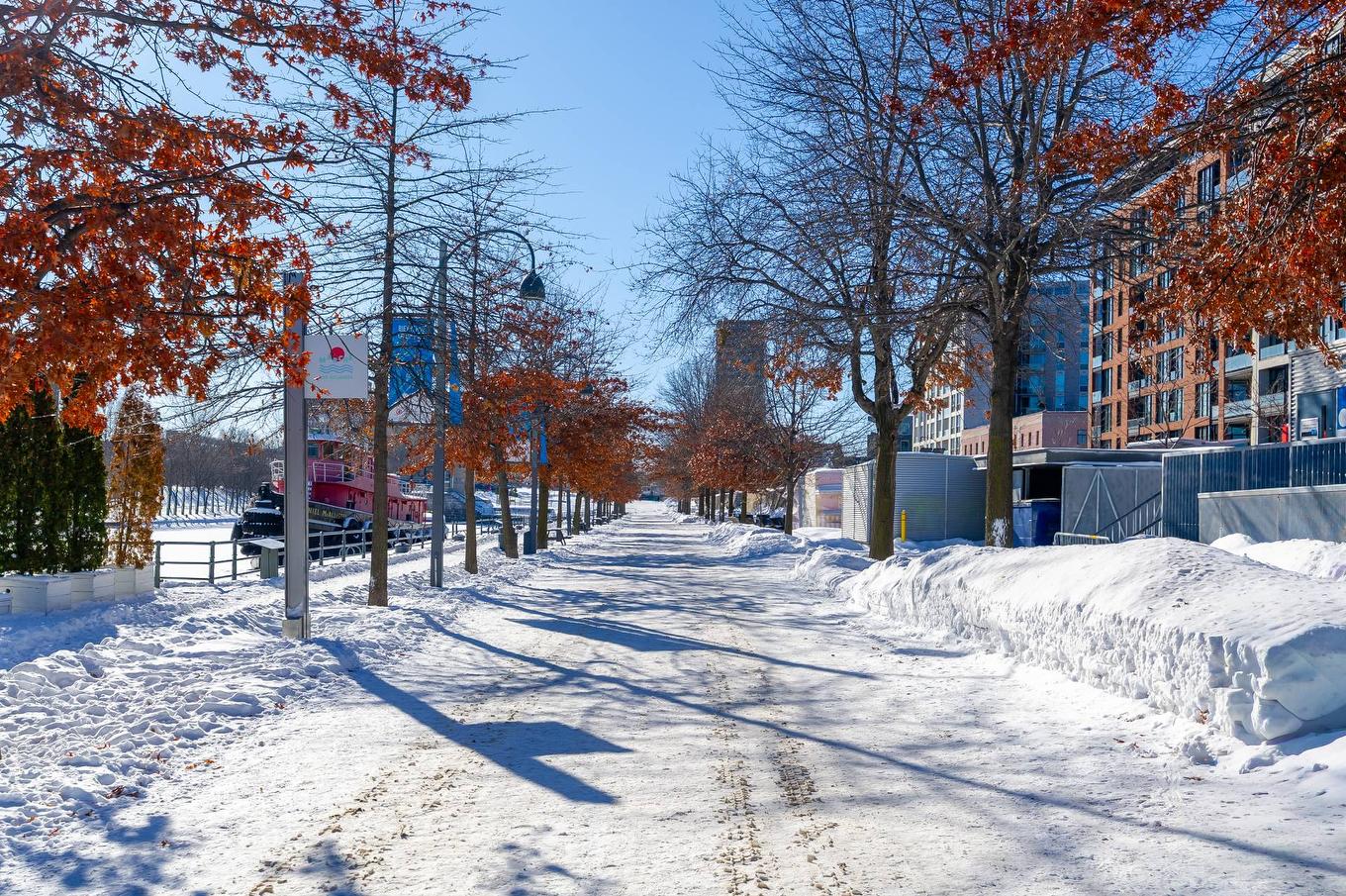 Other - 74-38 Rue Mcgill, Montréal (Ville-Marie), QC - Outdoor