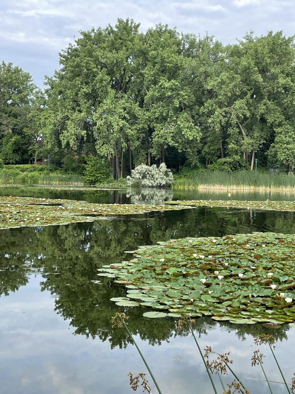 Autre - 808-760 Ch. Marie-Le Ber, Montréal (Verdun/Île-Des-Soeurs), QC - Outdoor With Body Of Water With View