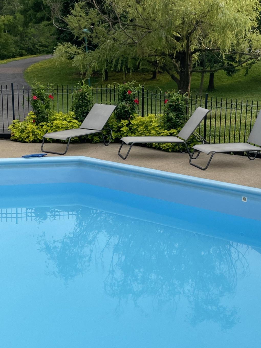 Piscine - 808-760 Ch. Marie-Le Ber, Montréal (Verdun/Île-Des-Soeurs), QC - Outdoor With In Ground Pool