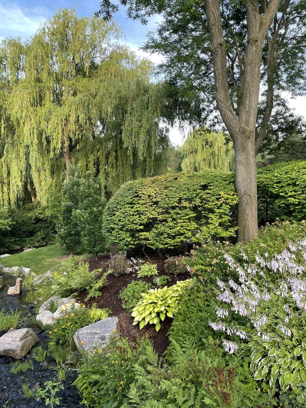 Jardin - 808-760 Ch. Marie-Le Ber, Montréal (Verdun/Île-Des-Soeurs), QC - Outdoor