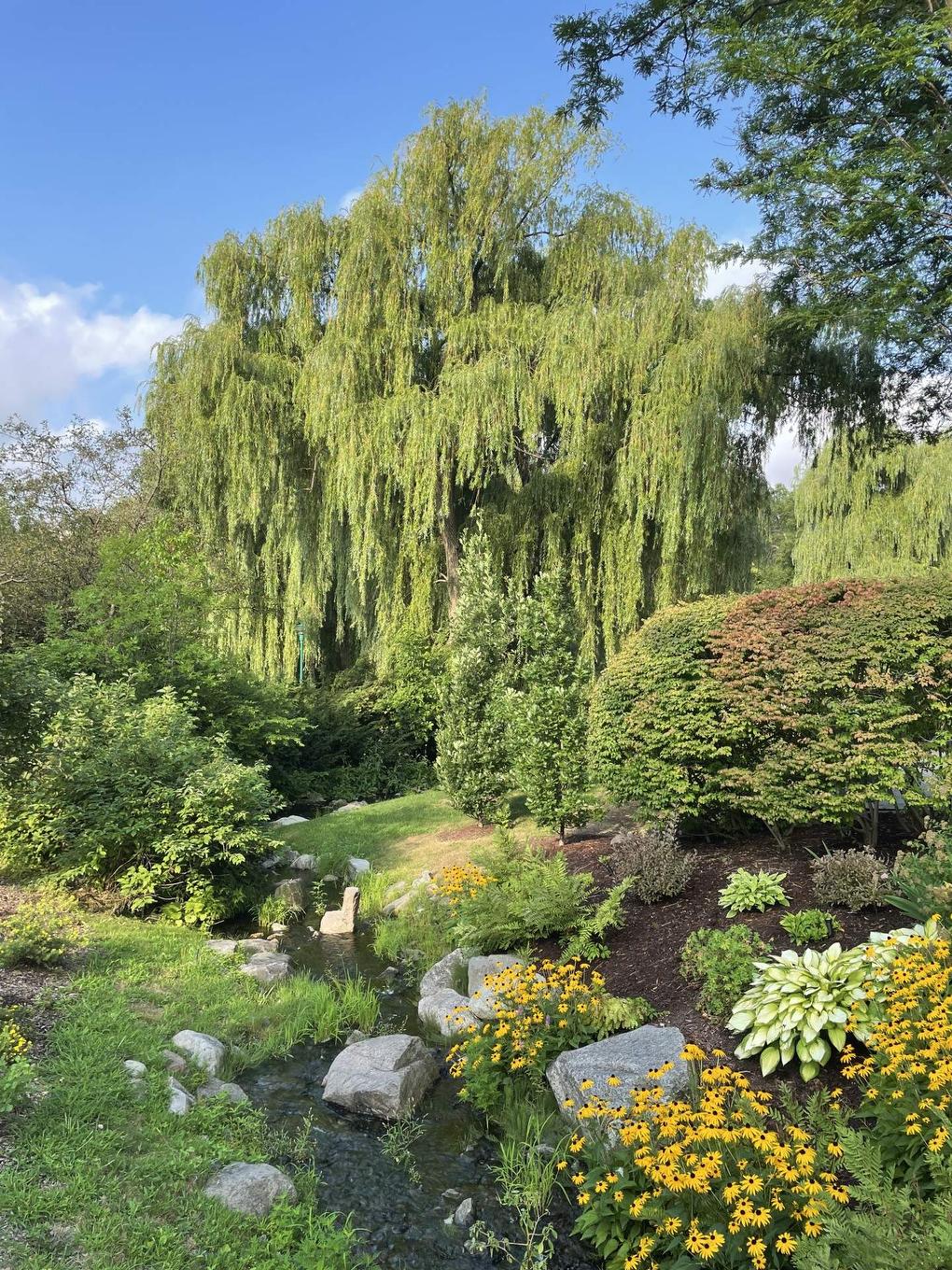 Jardin - 808-760 Ch. Marie-Le Ber, Montréal (Verdun/Île-Des-Soeurs), QC - Outdoor With View