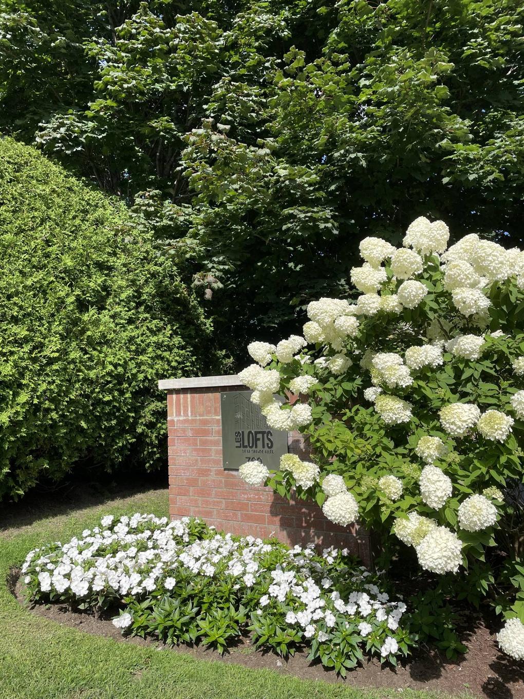 Extérieur - 808-760 Ch. Marie-Le Ber, Montréal (Verdun/Île-Des-Soeurs), QC - Outdoor