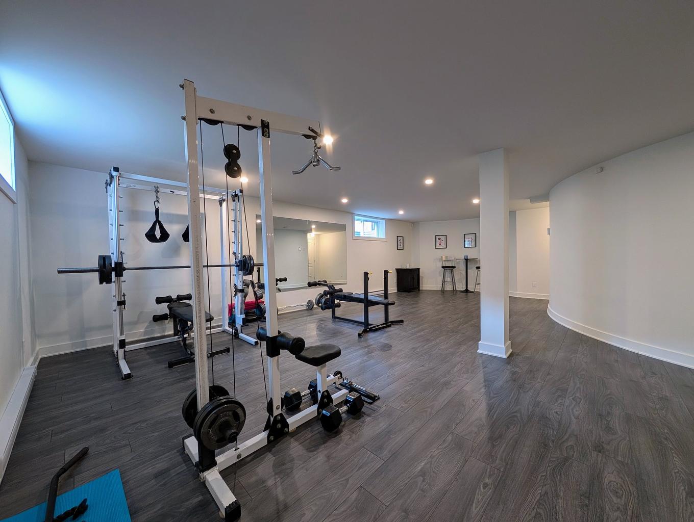 Sous-sol - 10536 Rue Thomas-Paine, Montréal (Rivière-Des-Prairies/Pointe-Aux-Trembles), QC - Indoor Photo Showing Gym Room