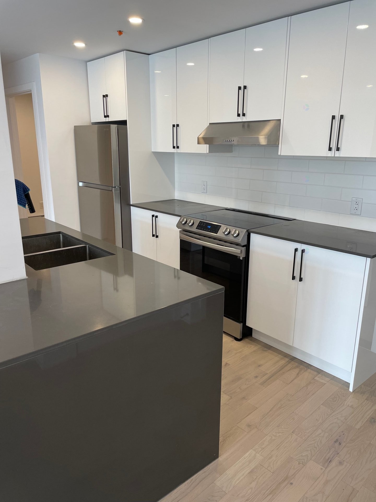 Cuisine - 1796 Boul. St-Joseph, Montréal (Lachine), QC - Indoor Photo Showing Kitchen With Double Sink