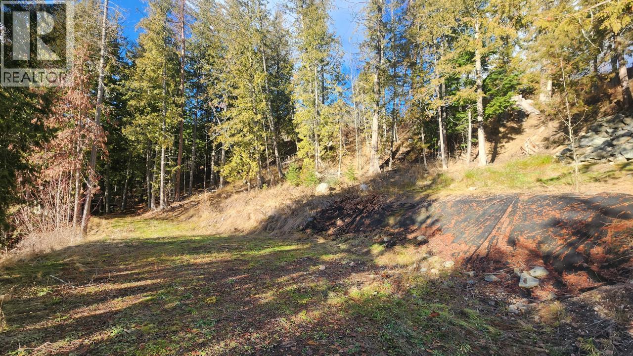 6802 Marian Lane, Nelson, BC