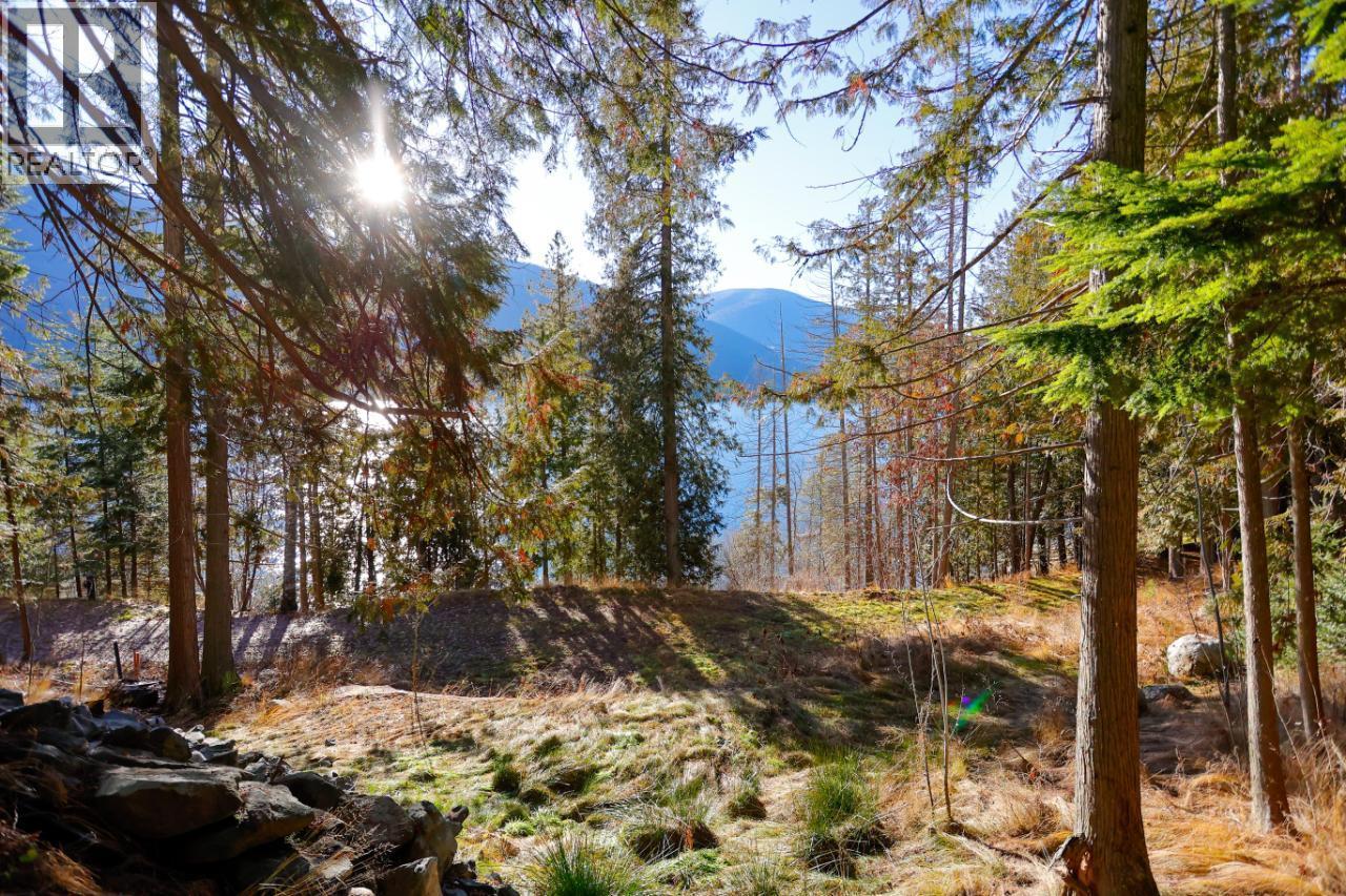 6802 Marian Lane, Nelson, BC