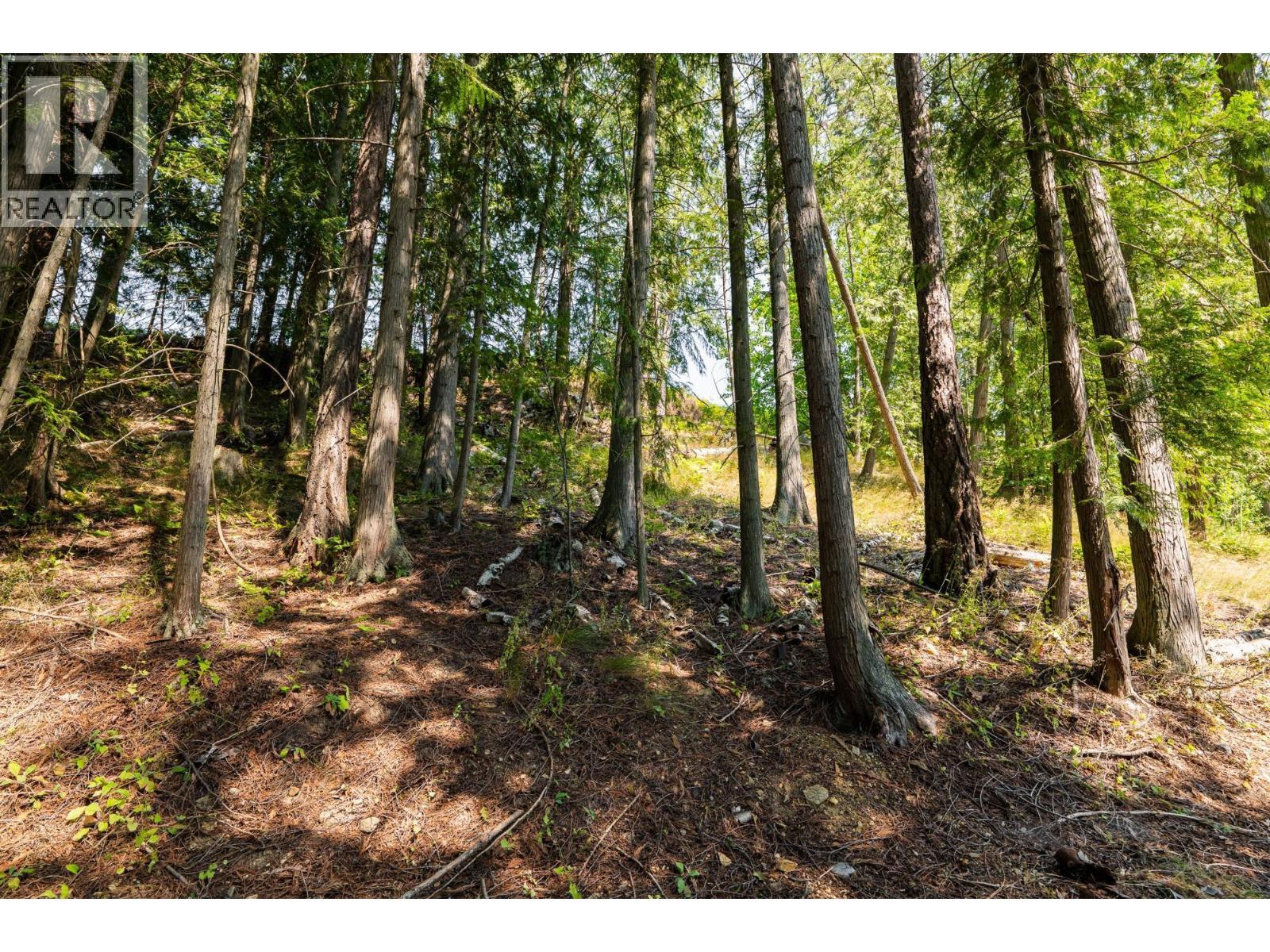 6802 Marian Lane, Nelson, BC