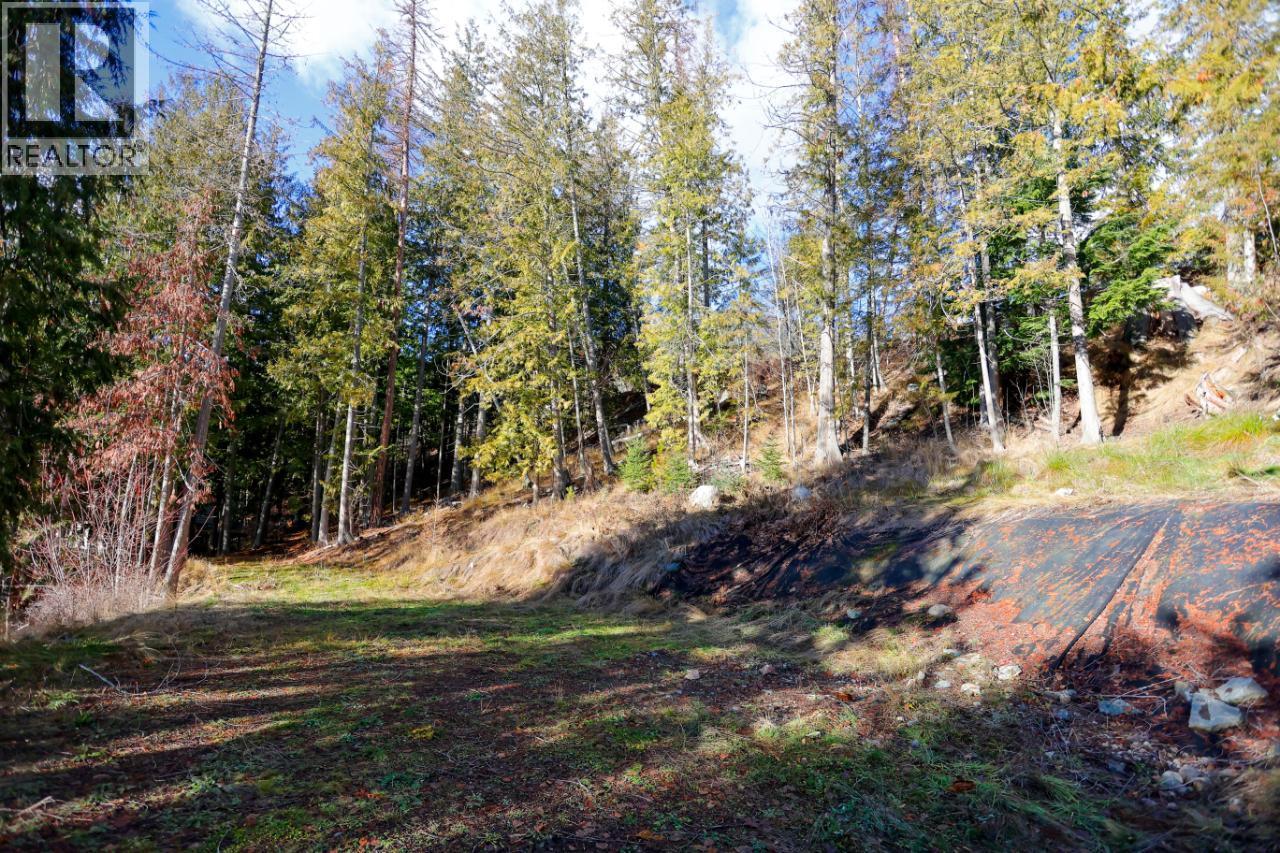 6802 Marian Lane, Nelson, BC