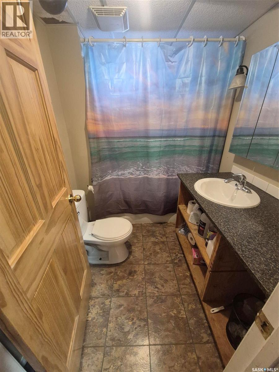 236 1St Street E, Leader, SK - Indoor Photo Showing Bathroom